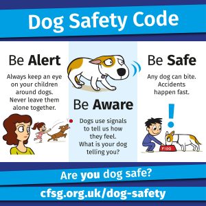 Dog safety code poster