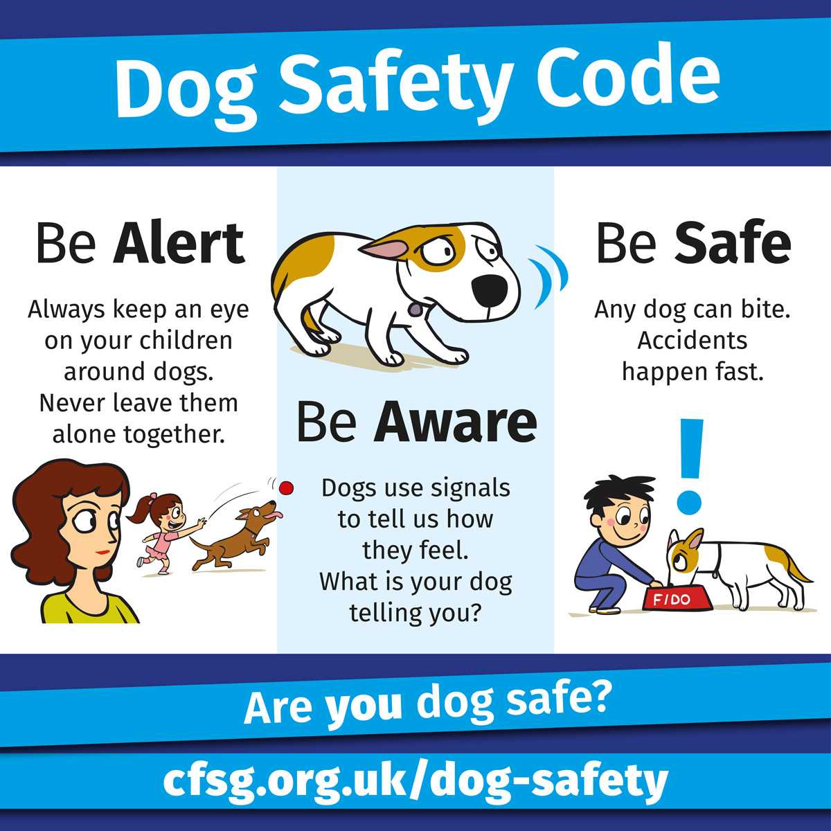 Are you concerned for the safety of your dog?